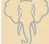 elephant.automotiveIT